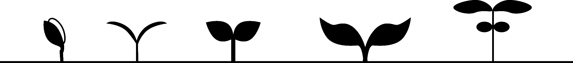 header_welkom